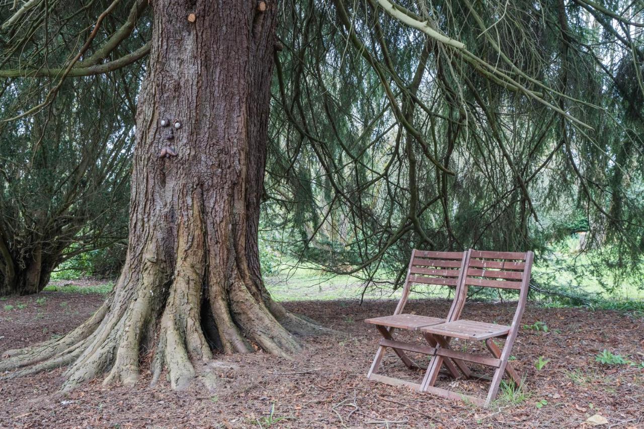 Cozy Carluke Lodge Retreat Esterno foto